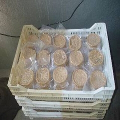 Corba semi