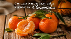 Caracteristicas que hacen unica a la mandarina clemenules