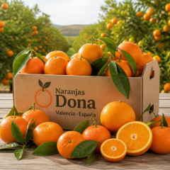 Para que elegir, llevate naranjas y mandarinas en nuestra caja mixta