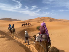 Amanar Viajes