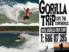 Surfing gorilla trip
