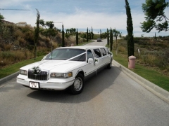all our limousines are ALWAYS ready for a 24/ 7 call out