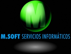 M.soft servicios informticos lleva ms de 20 aos dedicados al sector del transporte y la logstica.