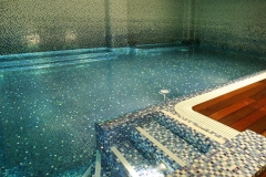 La piscina cubierta y climatizada con hidromasaje