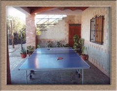 Porche mesa de ping-pong