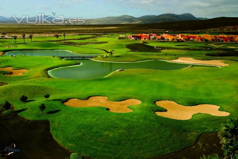 golf salinas de antigua en fuerteventura