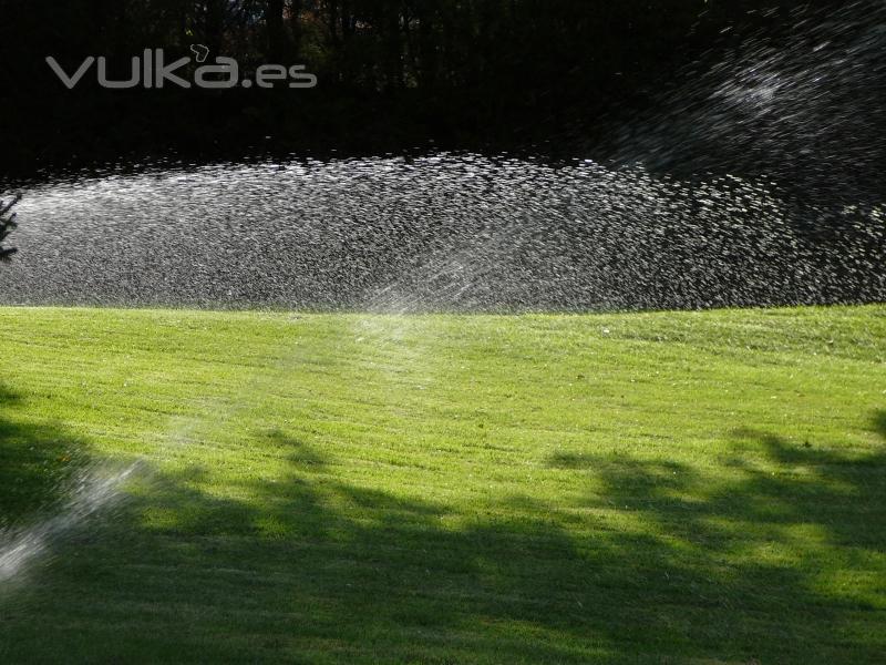 Jardn ideal con una nutricin Sencilla y Eficaz