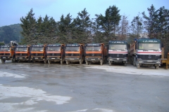 Flota de camiones de la empresa