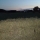 Paca de alfalfa pequea en Granada Alfalfa Cerrea