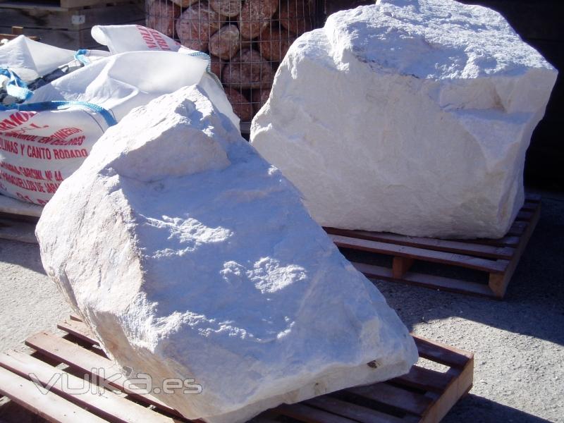 NONOLITOS DE MACAEL