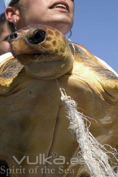 siempre hay tiempo para salvar a la fauna en peligro