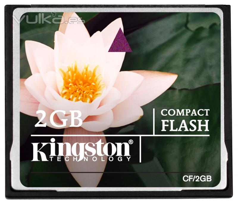 Tarjetas de memoria Compact Falsh, MicroSD, Secure Digital, XD Card