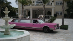 Pink lady  the only pink limousine in spain