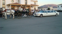 The   newly wed   arrived at their reception