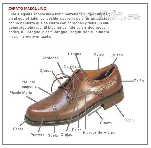 piezas que componen unos zapatos