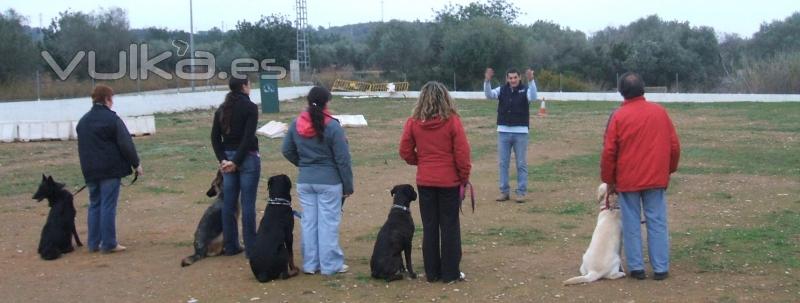 educación canina