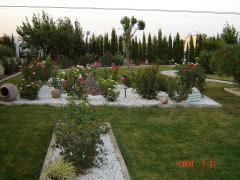 Foto de una zona de nuestro jardin