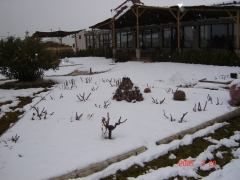 Vista de nuestro jardin nevado