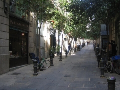 Calle comtessa de sobradiel