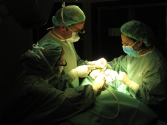 Intervención microquirúrgica 