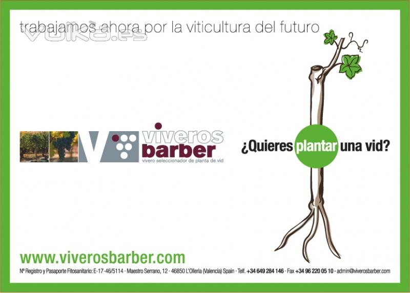 Viveros Barber * Venta de plantas de Vid