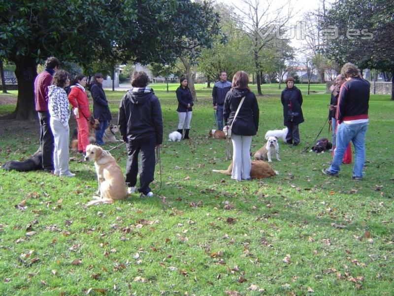 SOCIALIZACIONES Y QUEDADAS EN LA NATURALEZA