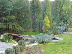 Foto 160 planta ornamental en Madrid - Arte Vivo Jardineria y Paisajismo sl