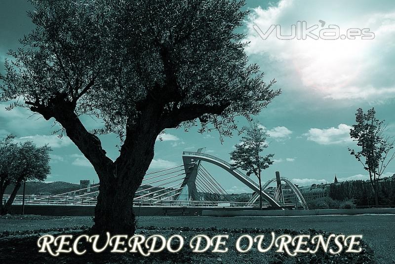 Puente del Milenium Orense