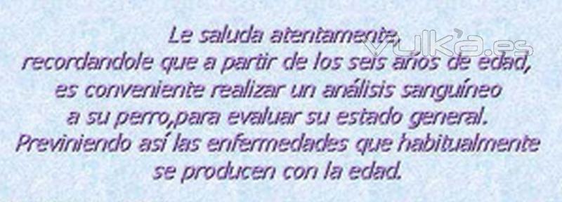 CLINICA VETERINARIA  MADRID  CENTRO VETERINARIO  ASISTENCIA A DOMICILIO  Chamartn Prosperidad Ciuda