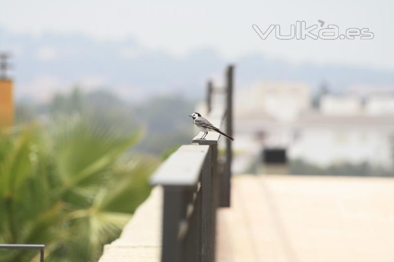 Ático con Vistas