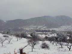 Nevada del 14 de febrero de 2010, nuestra aldea al fondo