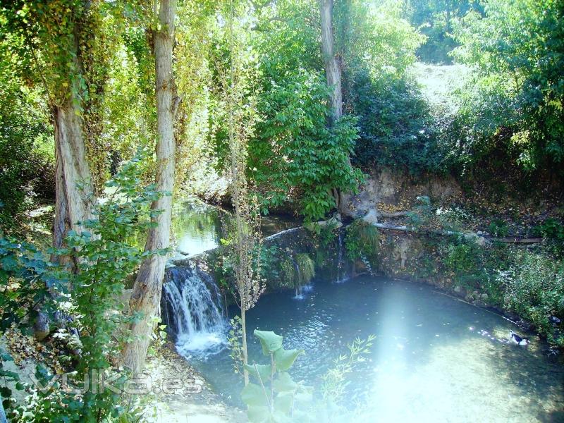 Arroyo junto a nuestras casas y restaurante