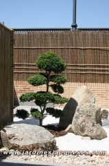 Jardin japones en boadilla del monte - madrid