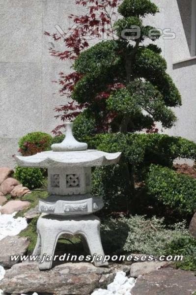 Jardin japones en la Dehesa - Madrid
