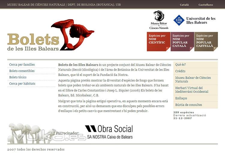 redywebs - Diseo web - Barcelona