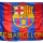 Bandera del FC Barcelona Temporada 09/10