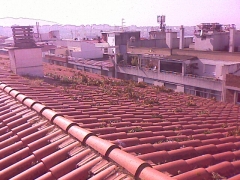 Limpieza de tejados