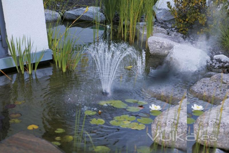 colocacin de elemento de decoracin en estanque de lateral de chalet privado