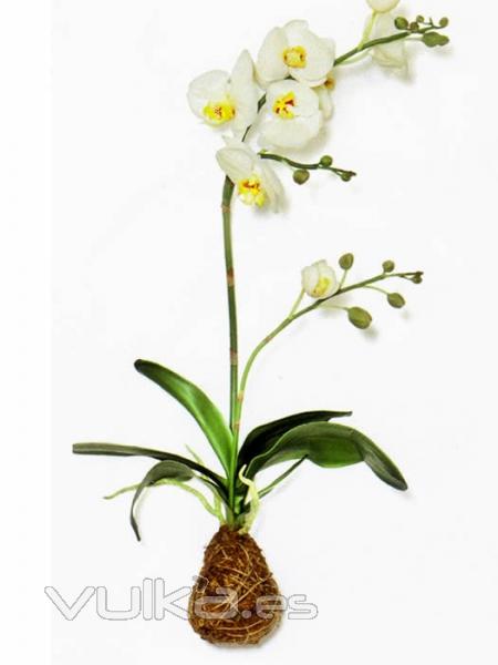 orquidea artificial con raices. oasisdecor.com flores artificiales de calidad