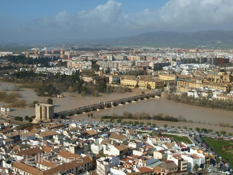 CORDOBA 2010