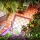 HOSTAL PENSION ZURITA