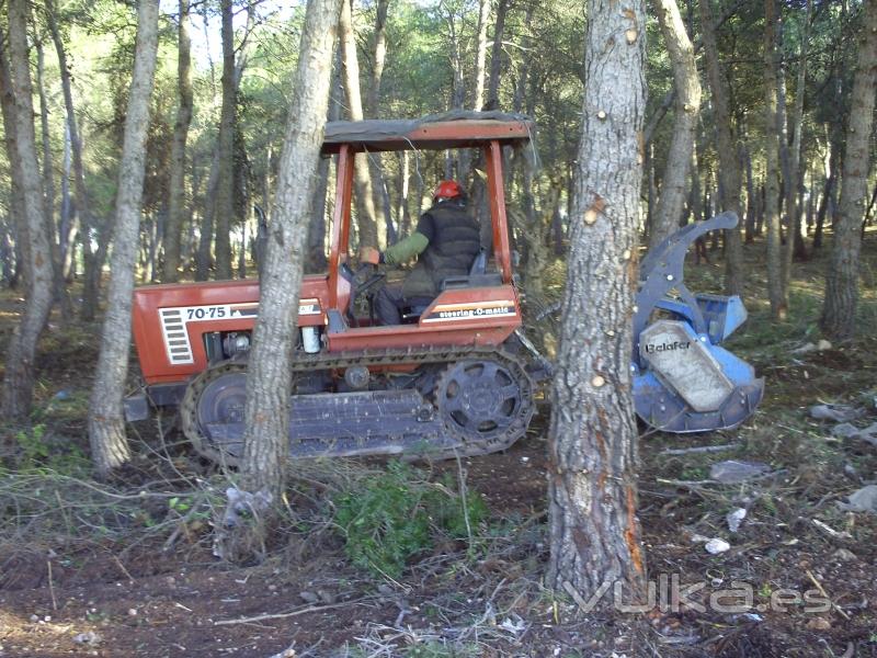 Limpieza de bosques con tractor oruga.