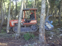 Limpieza de bosques con tractor oruga.