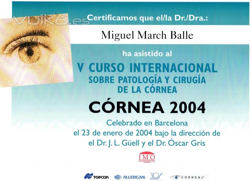 CURSO INTERNACIONAL SOBRE PATOLOGA Y CIRUGA DE LA CRNEA. BARCELONA. 2.004.