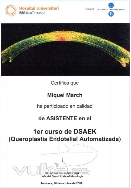 CURSO DE QUERATOPLASTIA ENDOTELIAL AUTOMATIZADA. HOSPITAL UNIVERSITARIO MÚTUA DE TERRASSA. 2.009.