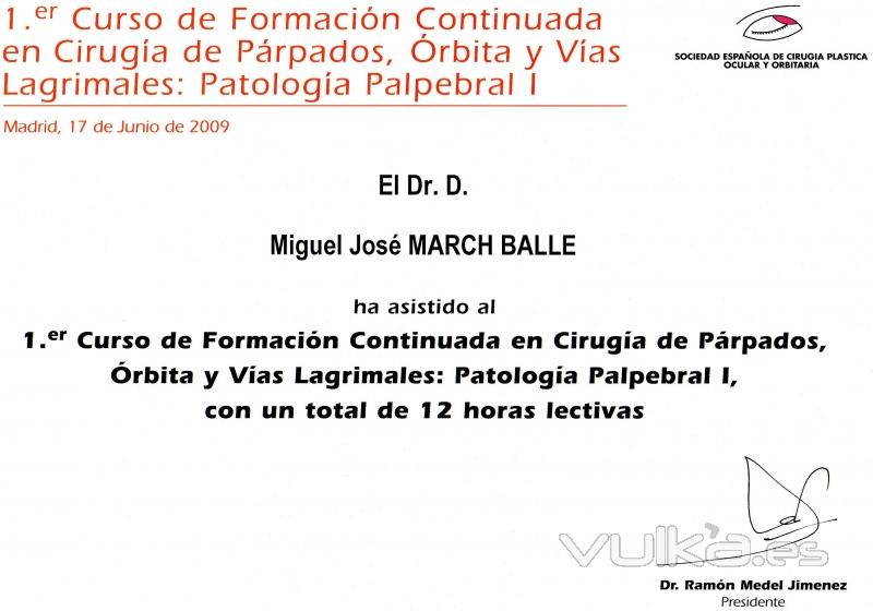 CURSO DE FORMACIN CONTINUADA EN CIRUGA DE PRPADOS, RBITA Y VAS LAGRIMALES. MADRID. 2.009.