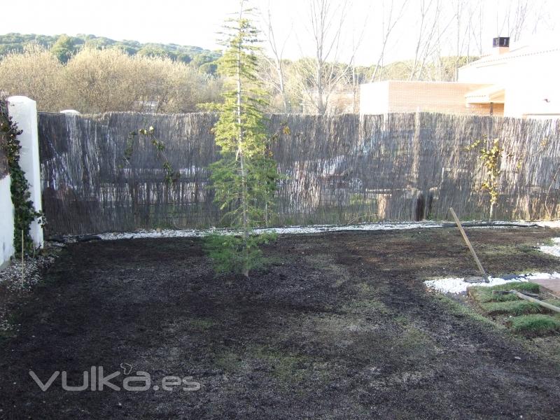 SIEGA, PLANTACIN Y ESCARIFICADO DEL TERRENO, FINAL.