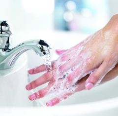 Un correcto lavado de manos evita la transmisin de grmenes
