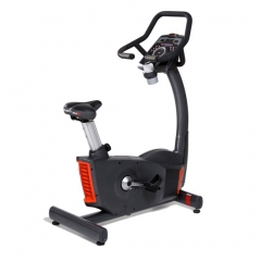 Bicicleta vertical profesional