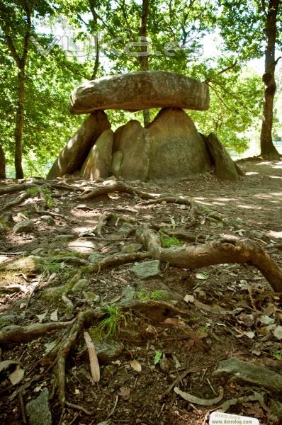 Dolmen de Dombate - Restos Celtas